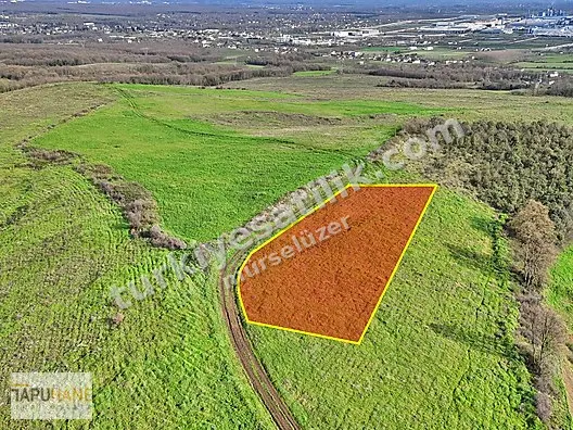 TAPUHANE'DEN SATILIK 682 M2 BUNGALOV ARSASI